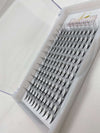 12D 0.05 Premade Lash Fans